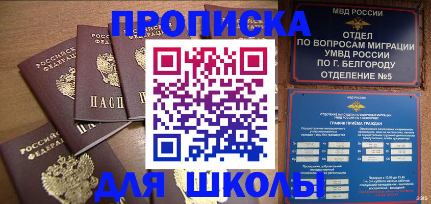 прописка гарантия в Краснознаменске